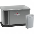Briggs & Stratton Home Standby Generator — 20 kW (LP)/18 kW (NG), Dual 200 Amp Transfer Switch, Steel Enclosure, Model# 040623